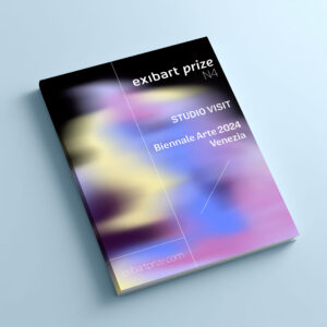 STUDIO VISIT - Biennale Arte 2024 Venezia